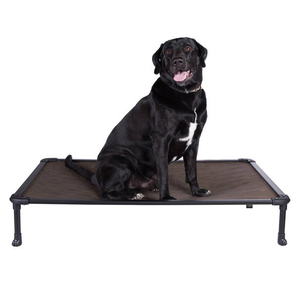 Tucker Murphy Pet™ Chew Proof Elevated Dog Bed Cooling Raised Pet Cot